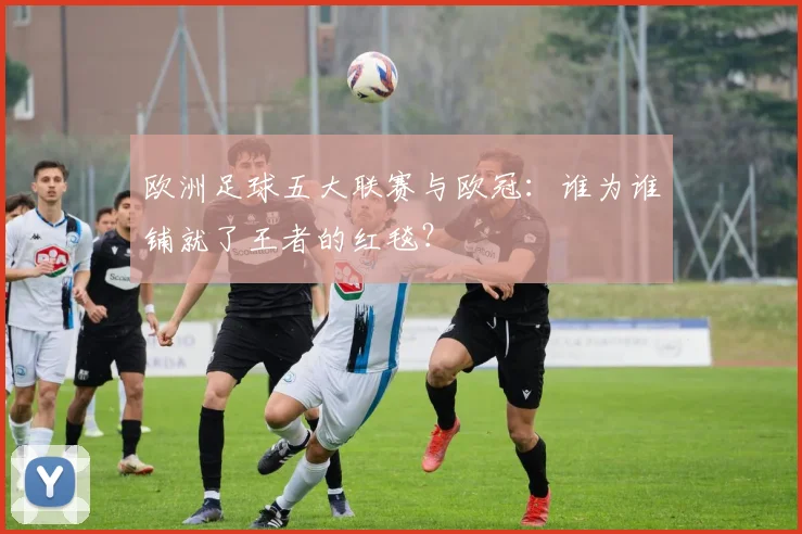 欧洲足球五大联赛与欧冠:谁为谁铺就了王者的红毯?