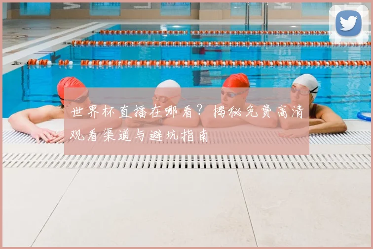 世界杯直播在哪看？揭秘免费高清观看渠道与避坑指南